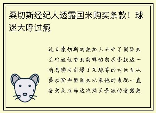 桑切斯经纪人透露国米购买条款！球迷大呼过瘾